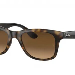 Ray-Ban  RB4640 Havana/Brown Sunglasses